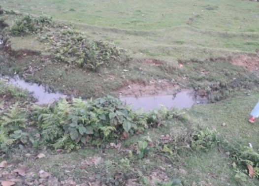 D:\Village Report\Village Report 2021\Darong Adu\Darong Adu\SITE VERIFIED PICS APRIL 23rd -26th 2019\Darong Adu - check dam.jpg